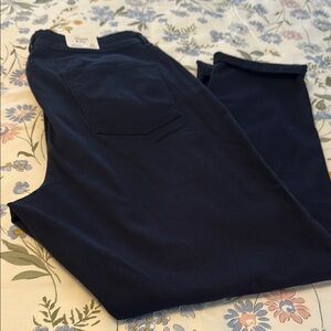 Dark Blue Pants